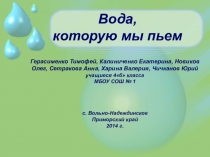 Презентация проектной работы на тему Вода, которую мы пьем