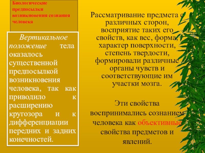 Условия возникновения сознания человека. Предпосылки возникновения сознания. Биологические предпосылки сознания. Биологические предпосылки возникновения сознания человека. Биологические предпосылки характера.