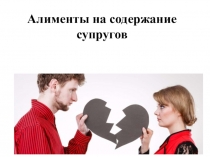 Презентация по курсу Право на тему Семейное право. Алименты на содержание супругов 11 класс