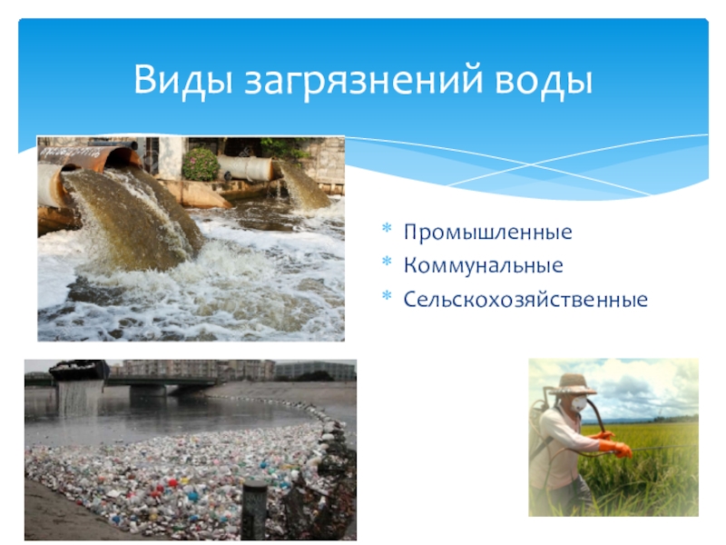 Исследовательский проект загрязнение воды