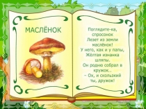 Где какие грибы искать?