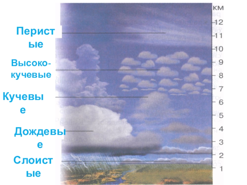 Определите какие облака перистые слоистые кучевые изображены на рисунке