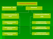 Презентация к уроку Сложное предложение.