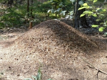 Презентация по математике 1 класс