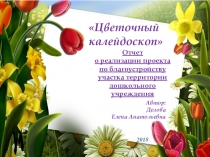 Отчет о реализации проекта по благоустройству участка территории дошкольного учреждения
