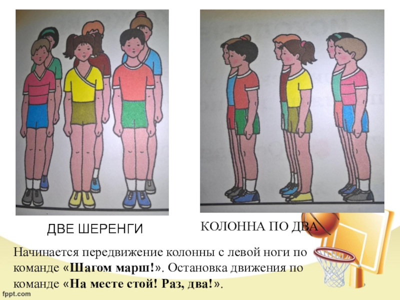 Стой шеренга. Колонна по два. Построение в колонну. Построение в две колонны. Построение в колонну по 2.