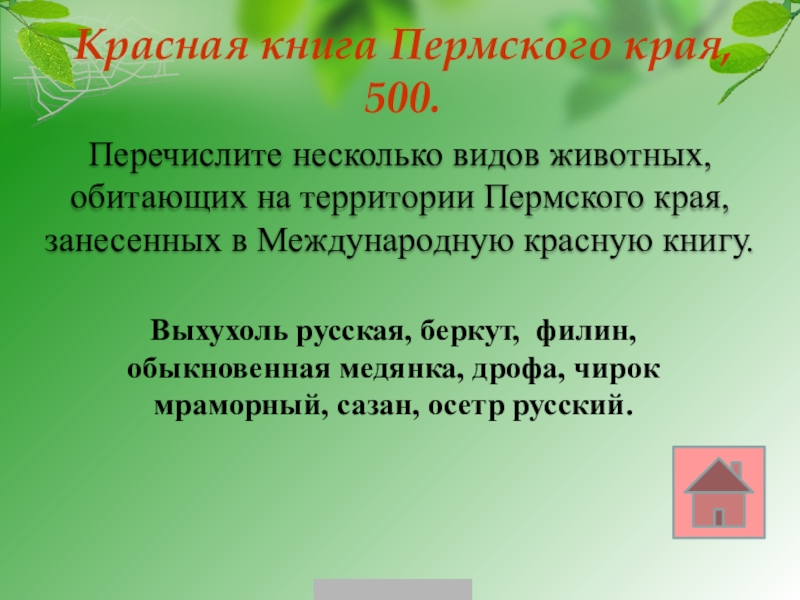 Красная книга пермского края. Красная книга Пермского края книга. Красная книга реферат Пермского края. Животные красной книги Пермского края 2021 года.