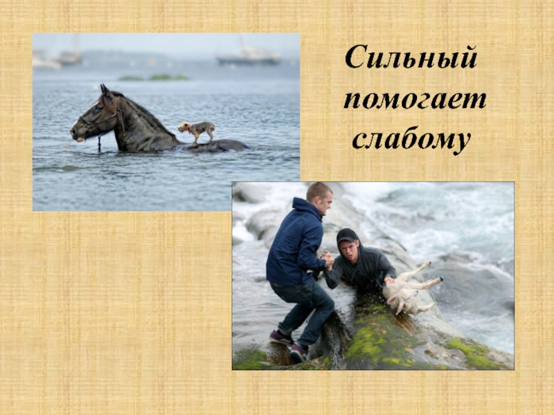 Помогай сильным. Сильный помогает слабому. Сильные должны помогать слабым. Помощь слабым. Бережное отношение сильного к слабому.