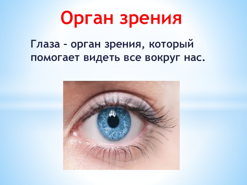 Глаз орган чувств человека. Органы чувств глаза. Орган зрения. Глаз орган. Глаза орган зрения 3 класс презентация.