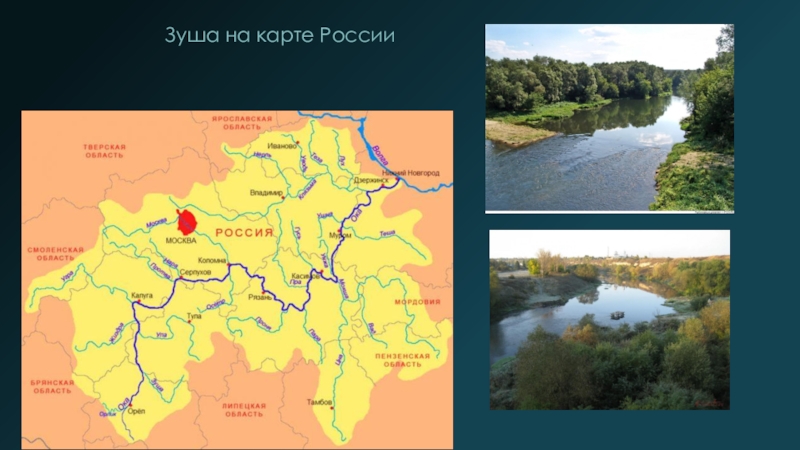 Города расположенные на реке ока. Схема реки Упы в Тульской области. Река Зуша Орловская область на карте. Река УПА В Тульской области на карте. Реки Тульской области на карте.