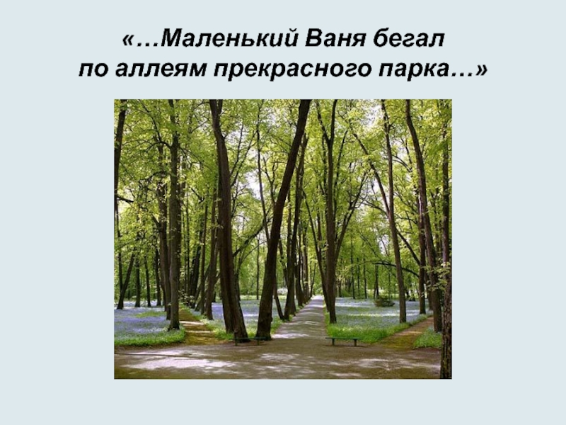 Презентация про парк. Презентация парка. Роль в предложении у прекрасной аллеи. Доклад про парк искусственный созданный человеком. Презентация парка отдыха на коммерческой основе.