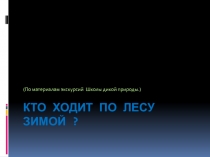 Виртуальная экскурсия Кто ходит по лесу зимой ?