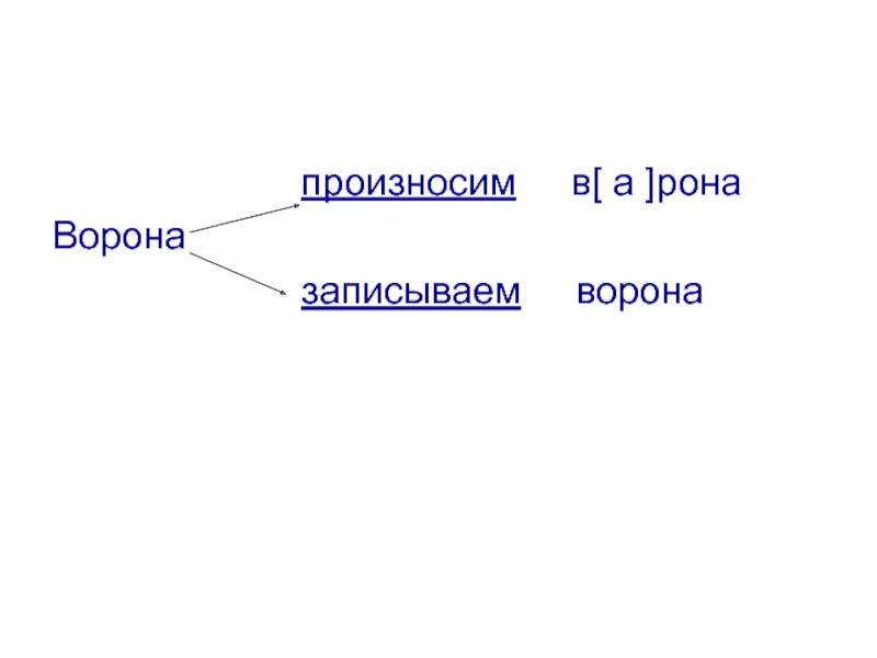 Предложение со словом ворона