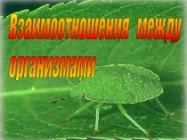Презентация по биологии на тему  Взаимоотношения между организмами