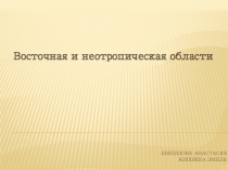 Презентация по биологии на тему Восточная и неотропическая области (11 класс)