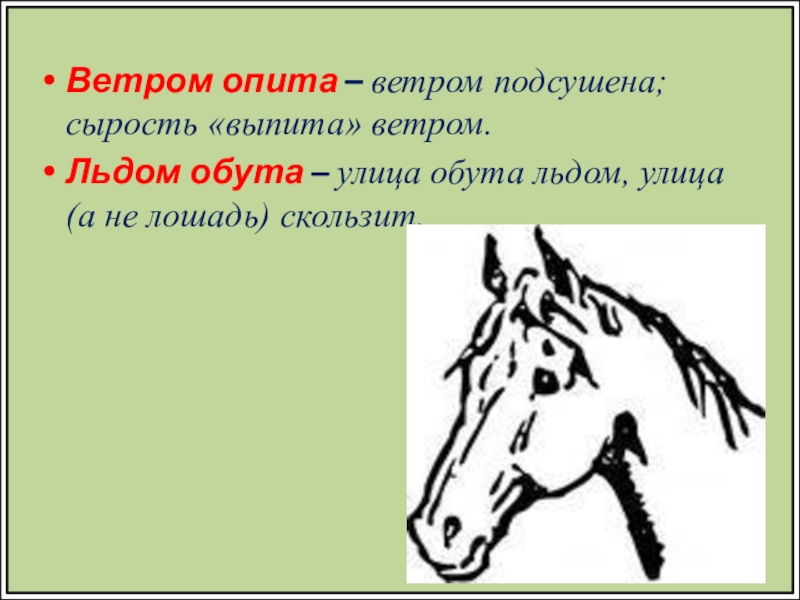 План анализа хорошее отношение к лошадям. Хорошее отношение к лошадям иллюстрации. Стих хорошее отношение к лошадям. Хорошее отношение к лошадям Маяковский. Иллюстрация к стихотворению хорошее отношение к лошадям.