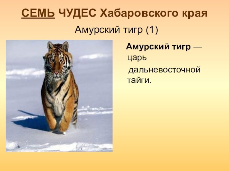 Достопримечательности хабаровского края презентация