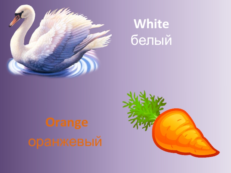 White белый Orangeоранжевый