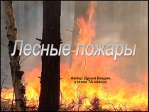 Лесные пожары