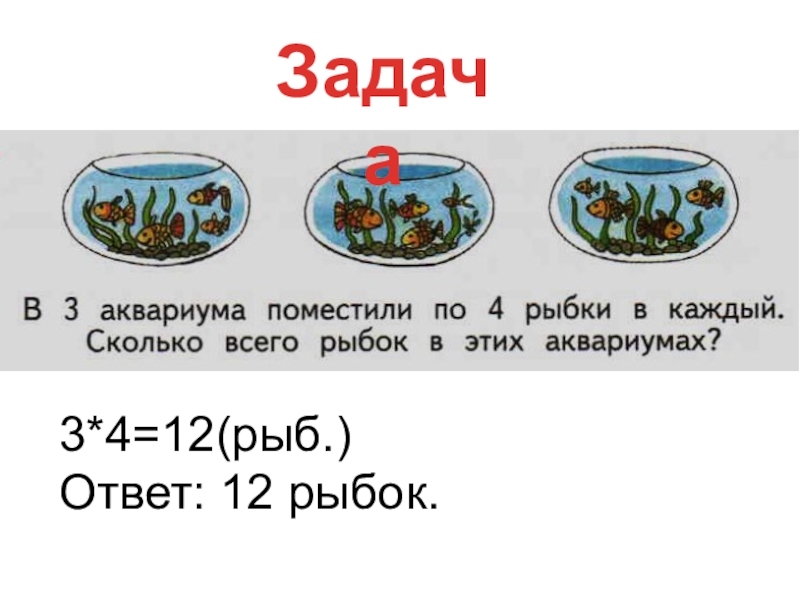 Всеми аквариумах было поровну рыбок. Задачи про рыб. Математические задания рыбы. Математические задачи про рыбы. Задачи с рыбками по математике.