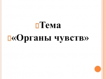 Презентация по теме Органы чувств