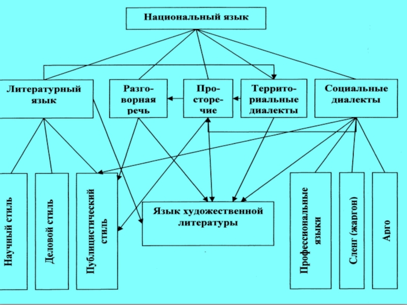 Народно литературный язык. Классификация социальных диалектов. Социальные диалекты русского языка классификация. Литературный язык – социальные диалекты общее.