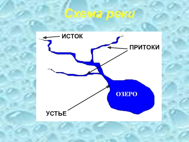 Куда течет река в вашей местности нарисовать схему окружающий мир 1 класс