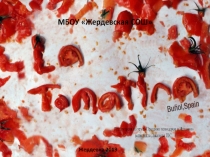 Презентация по английскому языку Праздник помидоров в Испании.