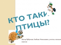 Электронный образовательный ресурс к уроку окружающего мира по теме Кто такие птицы