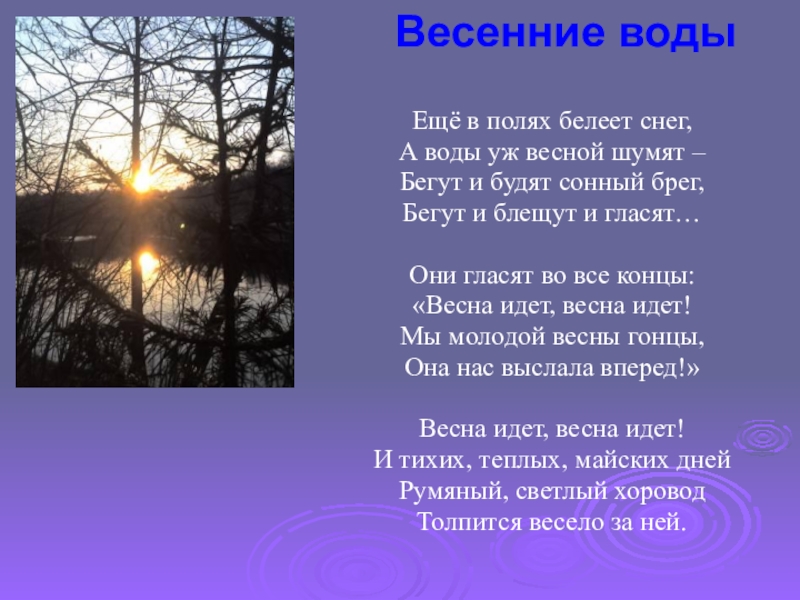 Еще в полях белеет. Весенние воды ещё в полях Белеет снег. Ещё в полях Белеет снег а воды уж весной шумят. Ещё в полях Белеет. Стихотворение Тютчева еще в полях Белеет снег.