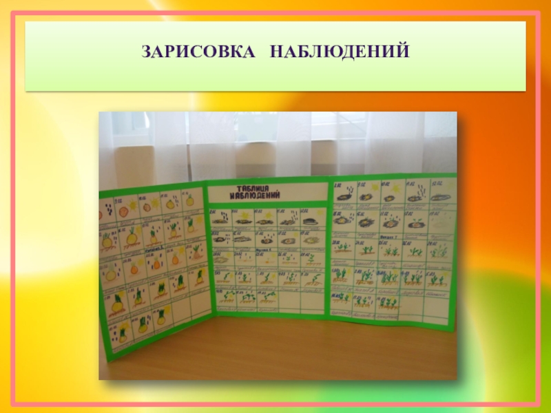 Дневник наблюдений за огородом на окне в детском саду образец