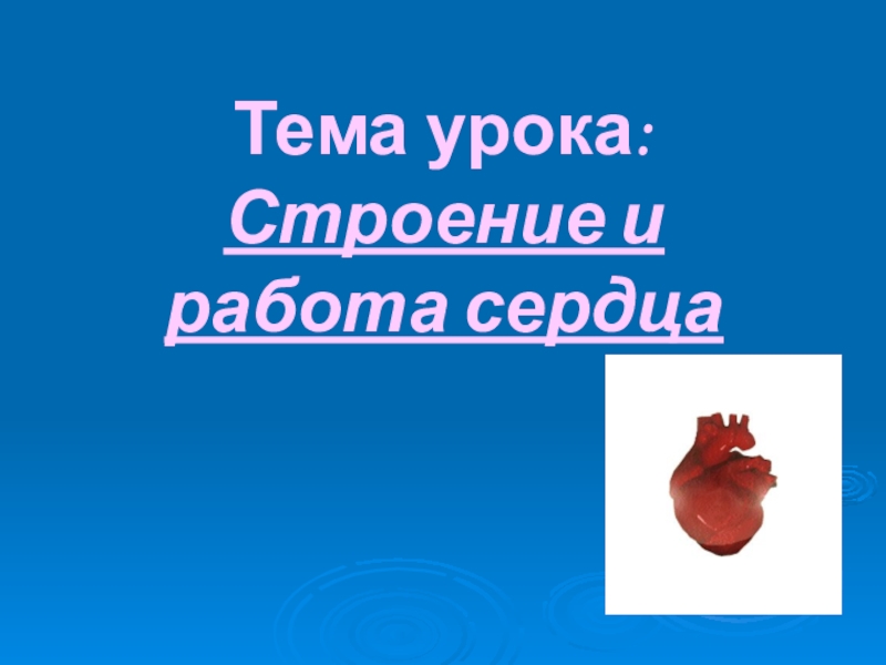Презентация Строение и работа сердца (8 класс)
