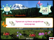 Сүтқоректілер