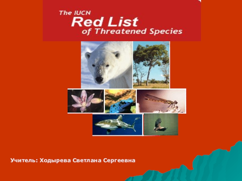 Красная книга география 6 класс. IUCN Red list. Red list of threatened species. IUCN Red list of threatened species. Red list animals.