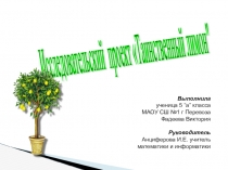 Презентация к исследовательскому проекту Таинственный лимон