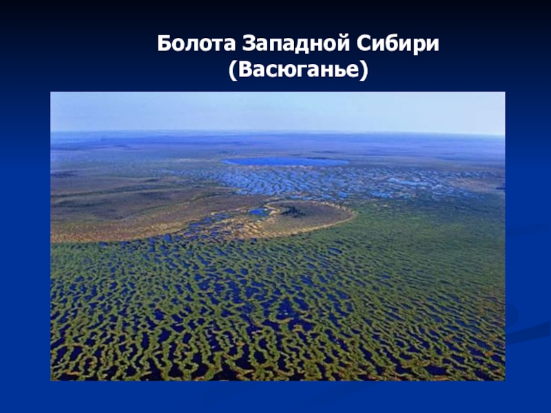 Крупные озера западной сибири. Западно-Сибирская равнина Васюганье болото. Болота Западно сибирской равнины. Васюганские болота, Западная Сибирь. Заболоченность Западной Сибири.