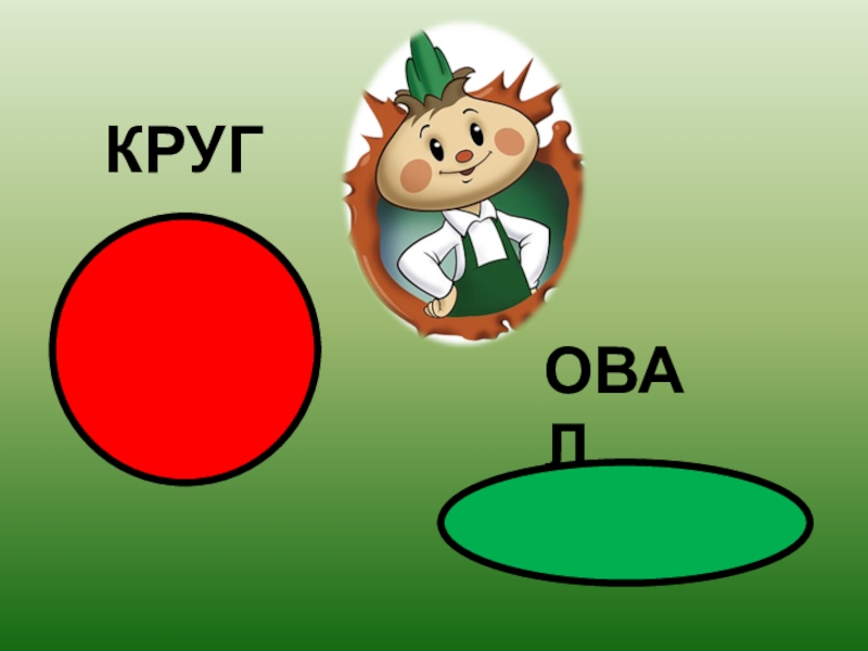 Круг и овал картинки