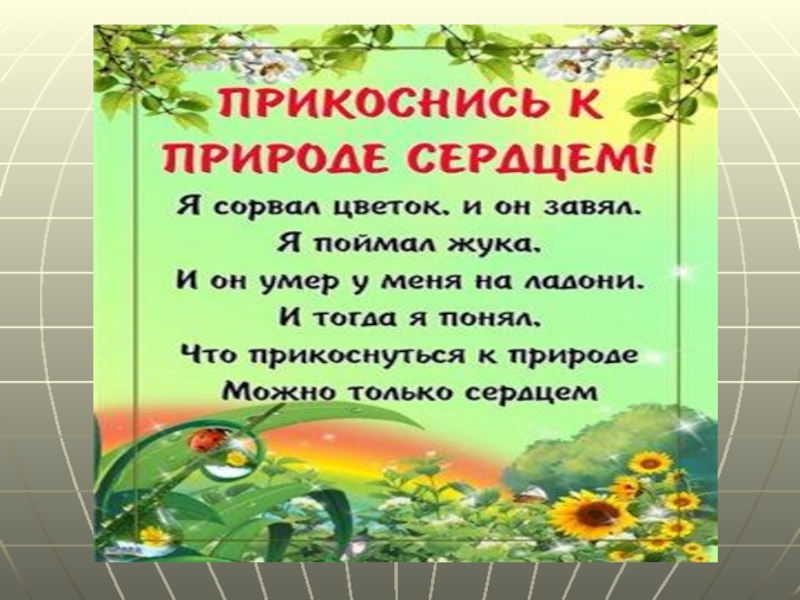 Примеры любви к природе. Прикоснись к природе сердцем. Прикоснуться к природе. Прикоснись к природе сердцем стенгазета. Проект Прикоснись к природе сердцем.