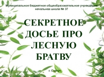 Сценарий и презентация экологического урока, посвященного творчеству В.В. Бианки.