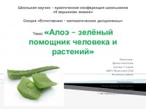 Презентация Алоэ -зелёный помощник человека и растений