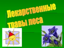 Презентация по окружающему миру на тему Лекарственные растения