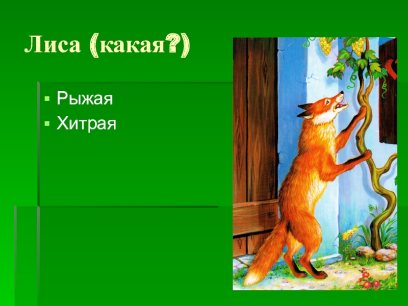 Лиса какая. Какая лиса по характеру. Лиса какая прилагательные для детей. Лисички русский язык.