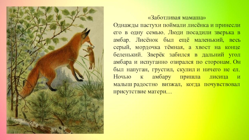 Заботливый зверек изложение 3 класс презентация