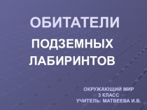 Презентация по окружающему миру 3 класс НИШ Обитатели почвы