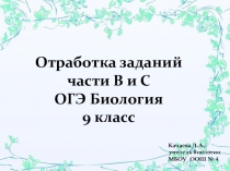 Презентация, тренажер Подготовка к ОГЭ биология 9 класс