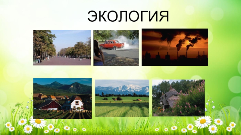 Город село 2 класс плешаков. Экология в городе и селе. Город и село. Село и город отличия. Разница города и села.