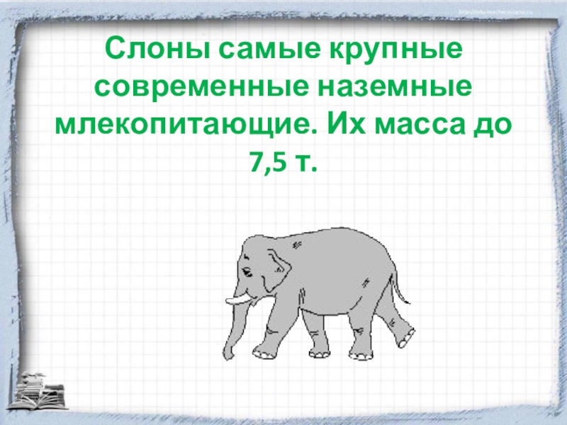 Масса слона 5 тонн это на 4. Самые крупные современные наземные млекопитающие. Самое крупное наземное млекопитающее. Масса слона. Самое крупное и очень сильное наземное млекопитающее.