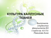 Презентация по биотехнологии на тему Культура каллусных тканей