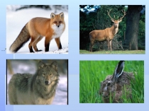 Презентация по окружающему миру на тему: Значение диких животных (2 класс)