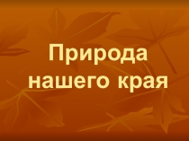 Внеклассное мероприятие Природа нашего края